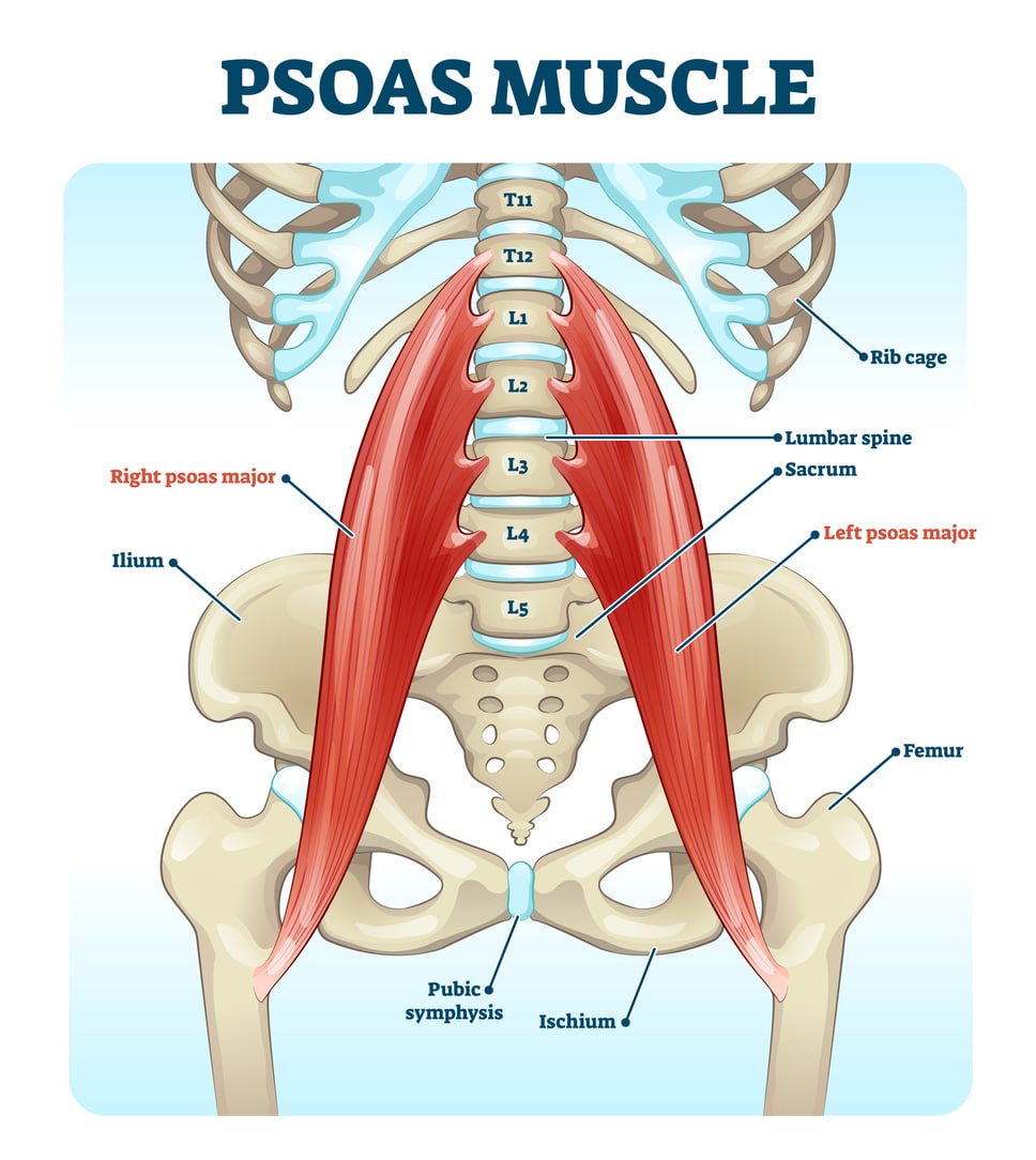 Psoas