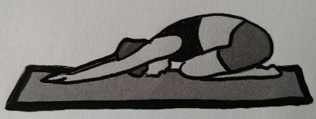 Afbeelding bij blog psoas 3